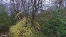 Lejlighed til leje, Brønshøj, &lt;span class=&quot;blurred street&quot; onclick=&quot;ProcessAdRequest(1285179)&quot;&gt;&lt;span class=&quot;hint&quot;&gt;Se vej-navn&lt;/span&gt;[xxxxxxxxxx]&lt;/span&gt;